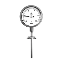 Đồng hồ đo nhiệt độ T123 Wise Control